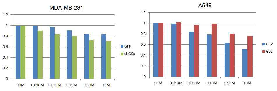 G9a의 발현에 따른 doxorubicin의 drug sensitivity