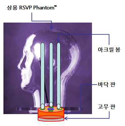 해부학적 팬텀의 구성