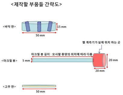 해부학적 팬텀 부속