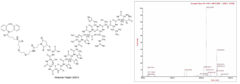 Structure of dibenzoyclooctyne(NH2)-SM(PEG)2-cMBP-GGG-SC(SH) and Maldi-tof analysis, [M+H]+ found (calc.):2462.7 (2463.6).