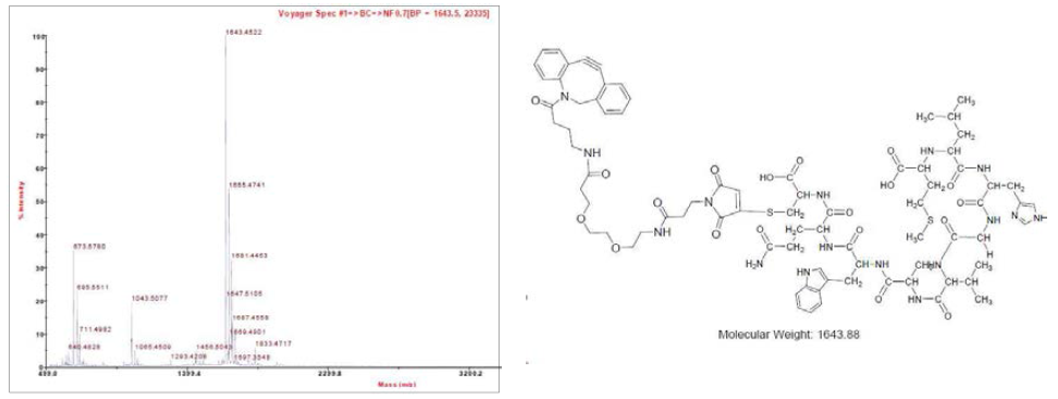 Structure and Maldi-tof analysis of dibenzoyclooctyne(NH2)-SM(PEG)2-BBN(7-14)-C(SH). [M]+ found (calc.):1643.45 (1643.88).