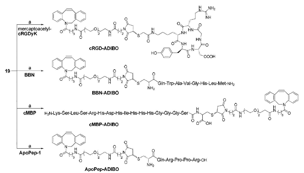 ADIBO가 도입된 peptide 전구체 합성 과정.