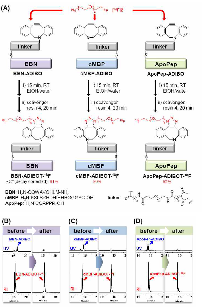 (A) 다양한 종류의 F-18이 표지된 peptide 합성 및 정제과정 (B-D) 3종류 F-18 표지 peptide의 HPLC 분석 결과