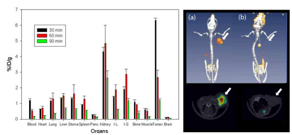 cRGD2-PEG-ADIBOT-18F를 이용한 blocking study; biodistribution과 PET/CT 영상 (black: cRGD2-PEG-ADIBOT-18F, red: cRGD2-PEG-AD IBOT-18F + cRGD2-PEG-ADIBOT-19F).