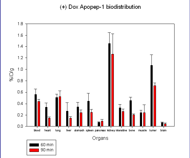 F-18 ApoPep-1 9를 이용한 biodistribution data