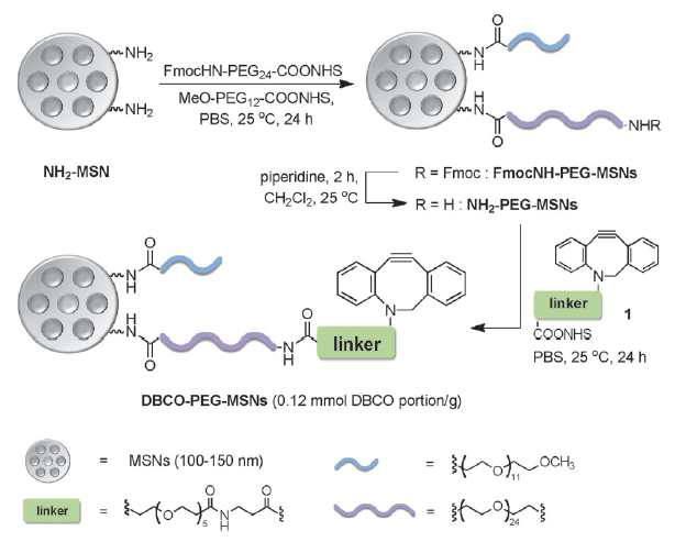 PEG가 도입된 Mesoporous Silica Nanoparticles의 합