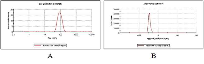 산화철 나노입자의 DLS 및 zeta 값 측정