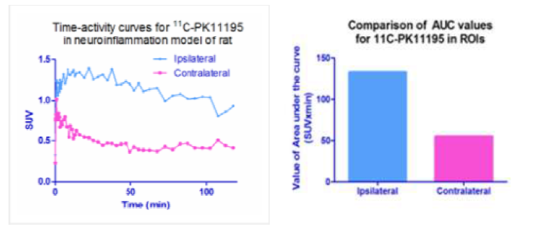 [11C]PK1119의 뇌 결합 그래프