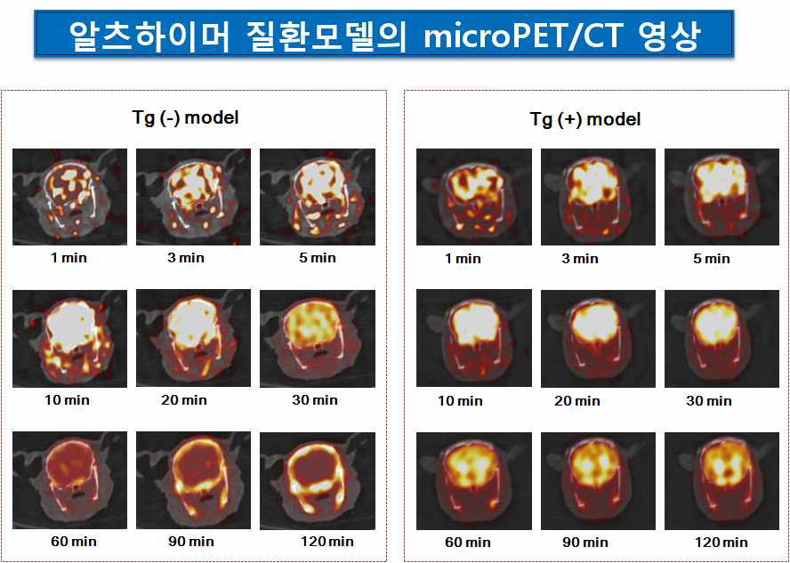 6-[18F]FBTA-MA의 알츠하이머 질환모델에서의 영상 비교