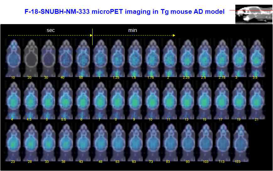 F-18-SNUBH-NM-333 microPET imaging in Tg mouse AD model