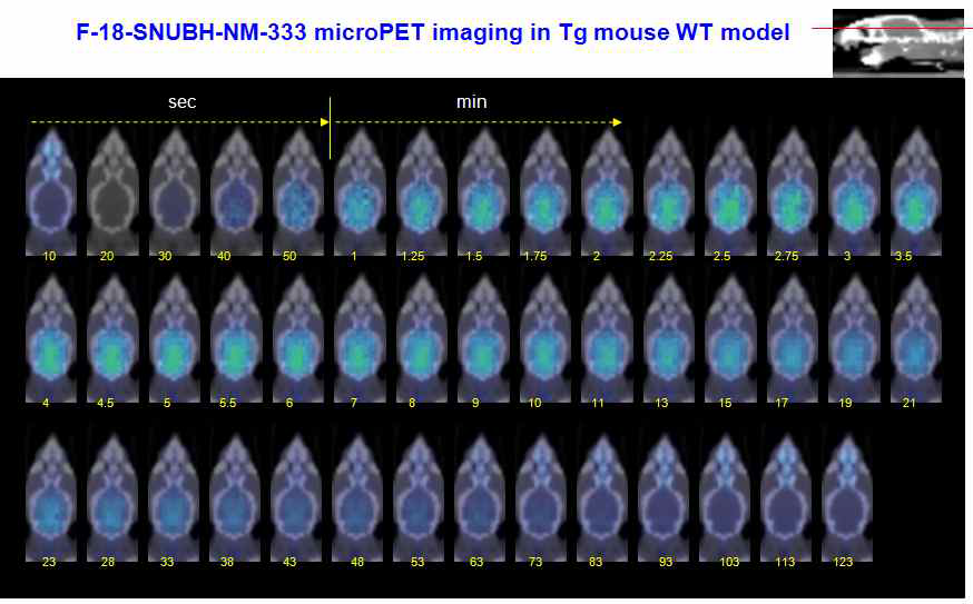 F-18-SNUBH-NM-333 microPET imaging in Tg mouse WT model