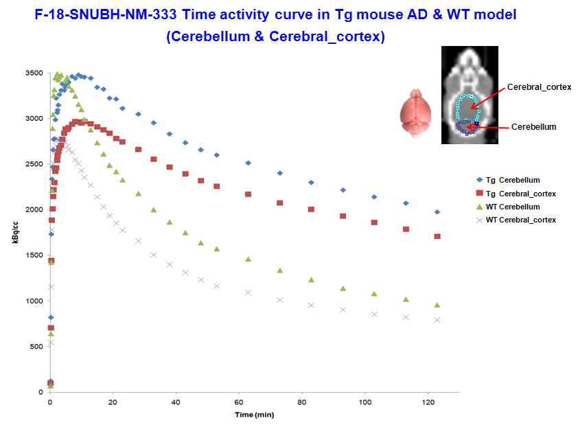 AD 동물모델과 동일 개월수 control에서의 뇌 영역별 섭취 time-activity curves와 뇌 염색 사진