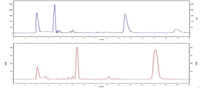upper: UV-254 nm; bottom: gamma-ray (meta-[18F]F-Donepezil은 약 24분에서 용출)