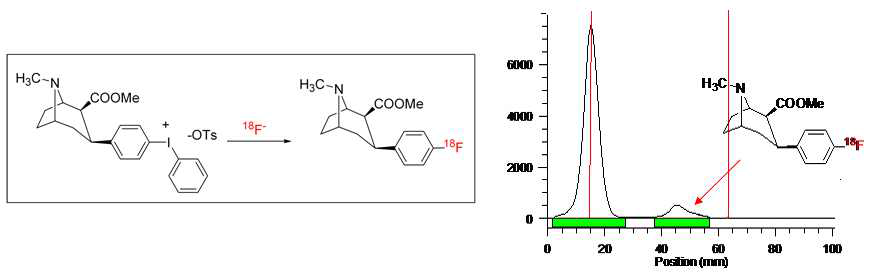 F-18 CFT 합성 scheme 및 HPLC profile