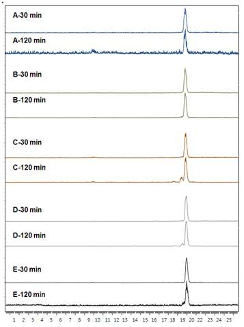 종양 마우스 모델에서 SNUBH-NM-505의 체내 안정성 HPLC 프로파일: HPLC analyses of the 30 min and 120 min (A) blood samples, and the 30 min and 120 min (B) urine samples, and the 30 min and 120 min (C) liver samples, and the the 30 min and 120 min (D) kidneys samples, and the the 30 min and 120 min (E) tumor samples of 99mTc-labeled NO2-D-[c(RGDfK)2] homogenates.