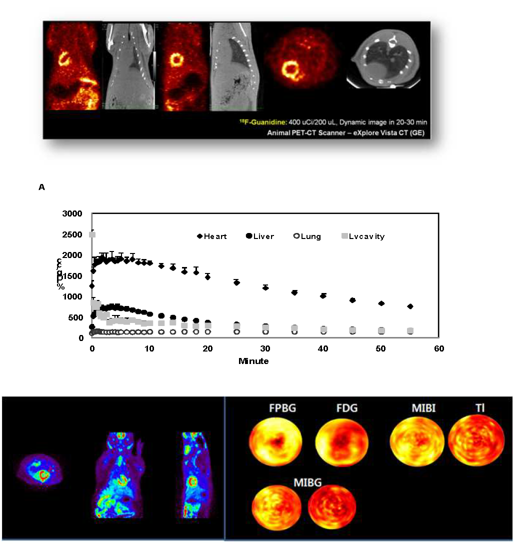 [18F]F-guanidine의 microPET 영상과 장기별 Time-activity curve 그리고 허혈성 심근 모델에서의 다른 심근 영상 의약품과의 나노분자영상 비교
