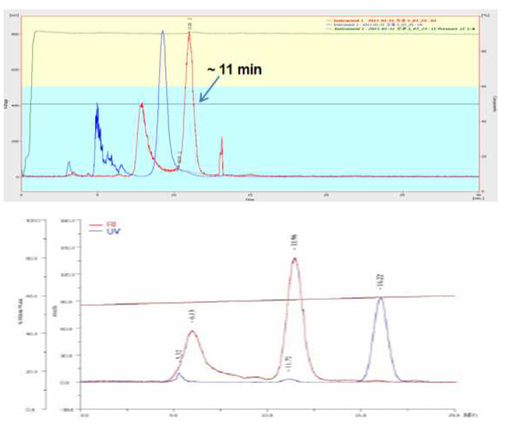 [11C]PBR와 [11C]PK11195 HPLC 분리 스펙트럼