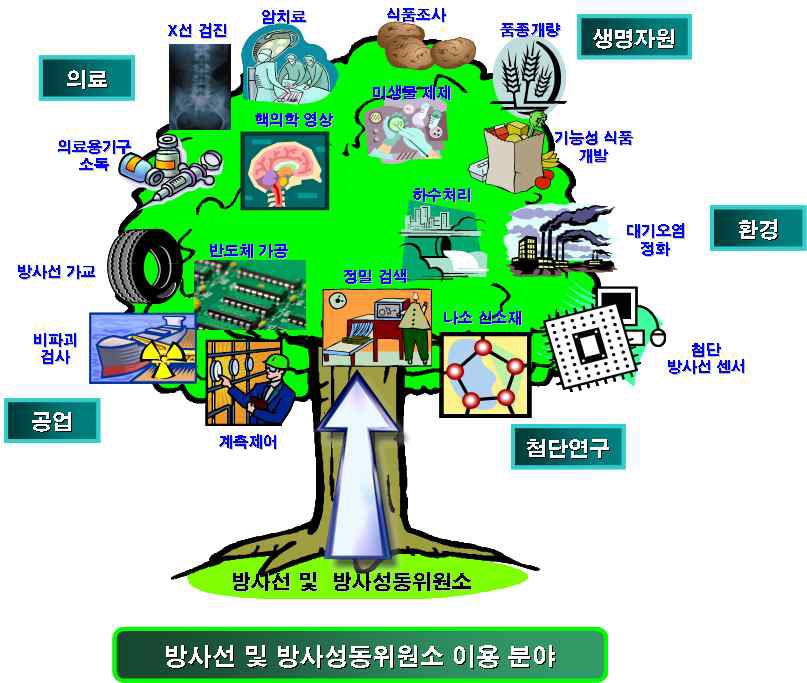 방사선 기술 적용의 기술 수목도 (Technological Tree)