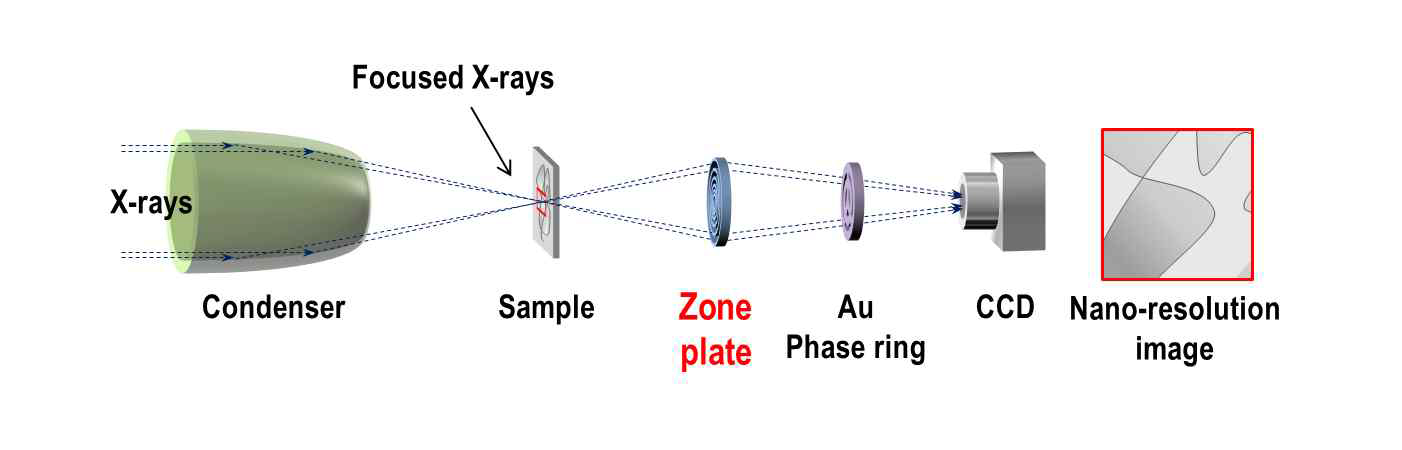 X선 투과현미경 모식도. 32ID-C 빔라인, Advanced Photon Source (APS), 미국.