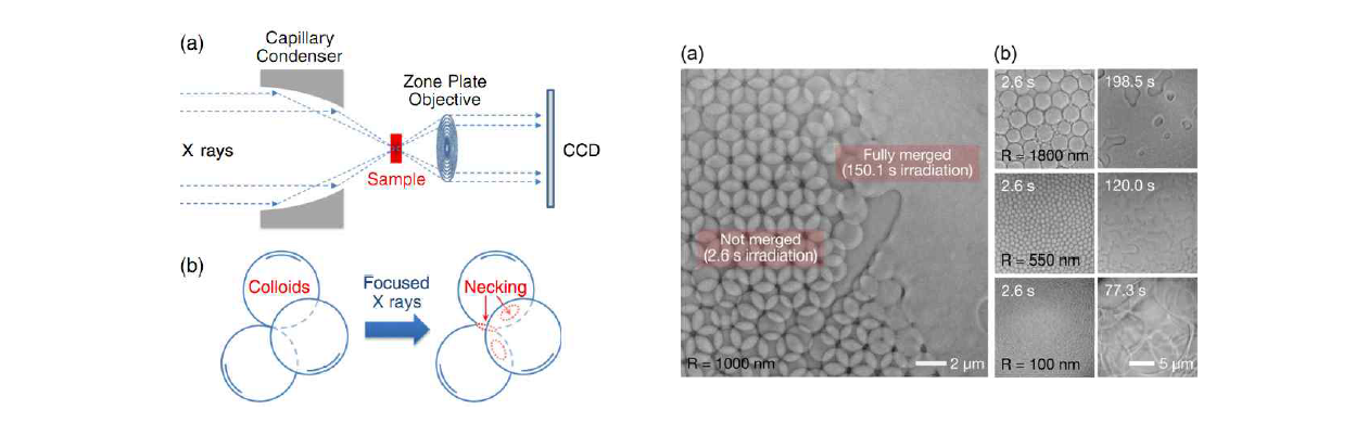 (좌) X선을 이용한 나노입자 조립 원리. (우) X선 세기와 나노입자 크기에 따른 소결 결과