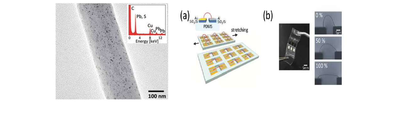 (좌)Pbs QD - P3HT Hybrid NW TEM 사진 (우) 스트레칭이 가능한 나노선 어레이 사진