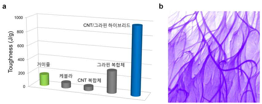 (a) 하이브리드 나노복합체 섬유와 기계적 특성이 우수한 소재들과의 물성 비교. (b) 나노복합체 내에 자기정렬된 그래핀/탄소나노튜브 구조의 주사전자현미경 사진.