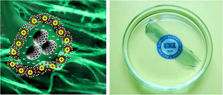 전도성 고분자로 코팅된 탄소나노튜브 멤브레인. 나노멤브레인의 에너지 저장 능력을 보여주는 모식도(좌)와 나노멤브레인의 투명성을 보여주는 사진(우).