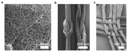 (a) DNA/CNT 하이드로겔 내의 다공성 나노섬유 네트워크. (b),(c) 스펀지 형태의 하이드로겔 섬유로 제조된 매듭 및 직물 구조의 주사전자현미경 사진.
