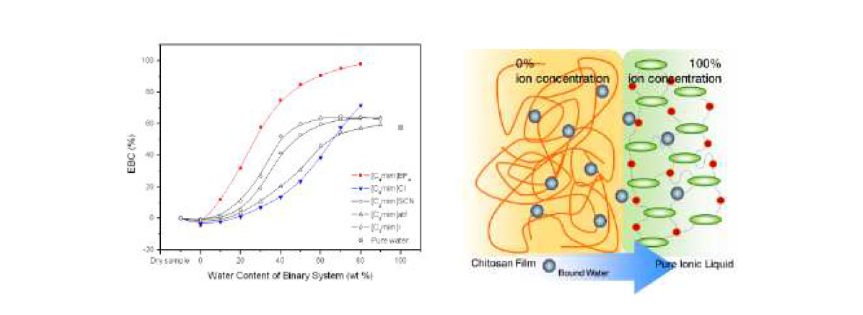 (a) 다양한 ionic liquid 음이온 효과와 물의 양에 따른 키토산 하이드로겔의 팽윤값 변화. (b) 순수한 ionic liquid에 의한 삼투압 형성에 따른 건조된 키토산 하이드로겔 내부의 물분자의 거동 모식도.