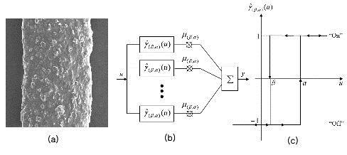 (a) 폴리아닐린/탄소나노튜브 마이크로 섬유의 주사전자현미경 사진. (b) Preisach hysteresis model. (c) Preisach hysteron.