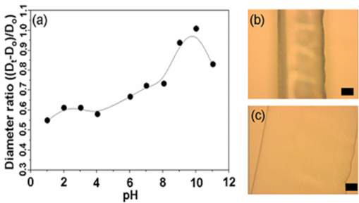 (a) 다양한 pH 용액에 따른 폴리비닐알콜 마이크로섬유의 부피변화율 (Dt: 평형습윤에 도달한 섬유의 직경, Do: 건조 상태의 섬유의 직경). (b) 건조된 폴리비닐알콜 마이크로섬유의 광학현미경 사진. (c) pH 10에서 습윤된 폴리비닐알콜 마이크로섬유 (스케일 바: 50 μm)