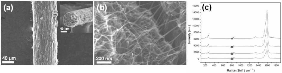 (a) 제조된 마이크로섬유의 표면과 단면 주사전자현미경 사진. (b) DNA에 감싸여진 탄소나노튜브의 내부 네트워크 확대 주사전자현미경 사진. (c) Polarized Raman분석을 통한 섬유 내부의 탄소나노튜브 배열 측정 데이터.