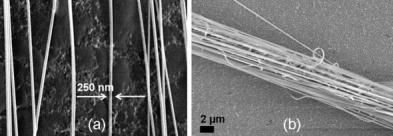 (a) 보조전극 사이에 배열된 후 카본테이프 위에 옮겨진 배열된 나노섬유와 (b) 배열된 나노섬유로부터 제조된 나노섬유 다발의 주사전자현미경 사진.