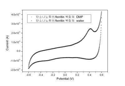 탄소나노튜브와 페리틴 복합체의 순환전압전류 분석.