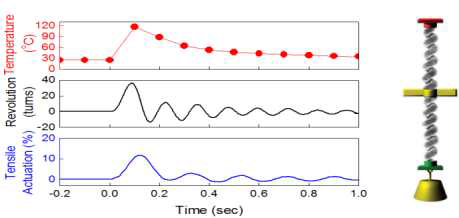 제작한 인공근육이 온도 변화에 감응하여 자가 회전이 가능하며 10% 이상의 높은 수축/이완 성능을 보여주는 성능결과(좌) 및 인공근육 시스템의 모식도(우)