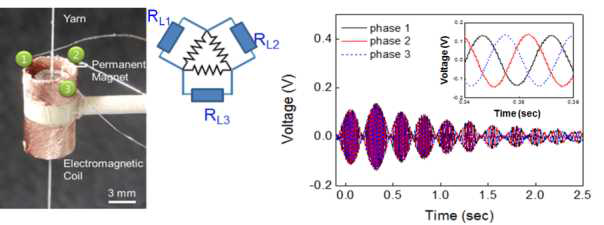 전자기장 유도장치를 구성해 인공근육 실의 자가 회전 원리에 의한 에너지수확 시스템 구성사진 및 그 RL1, RL2, RL3 세 개의 저항으로 구성된 전자기 에너지수확 회로구성(좌), 회전에 따라 발생되는 전압을 나타내는 그래프, phase 1, 2, 3은 각각 좌측 시스템구성사진의 1,2,3 위치에서 얻은 전압파형을 나타냄(우).