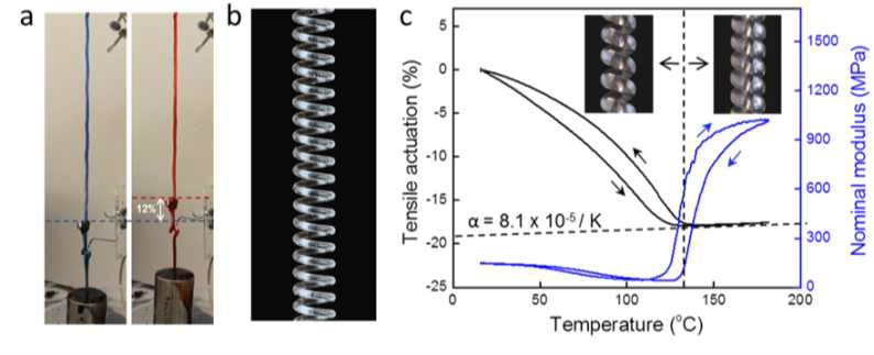 (a) 70oC의 온도차에서 500 g 무게를 들어 올리는 인공근육. (b) 코일 형태의 확대된 인공근육 광학현미경 사진. (c) 인공근육의 온도에 따른 수축/이완(검정) 및 탄성계수(파랑)을 보여주는 그래프.