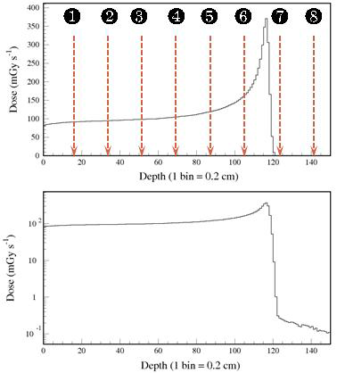 Detector phantom에서의 흡수선량을 depth의 1차원 함수로 나타낸 histogram(아래 그림은 log scale). 적색 점선 화살표로 표시된 위치는 PPIC 단위검출기들이 놓이는 위치.