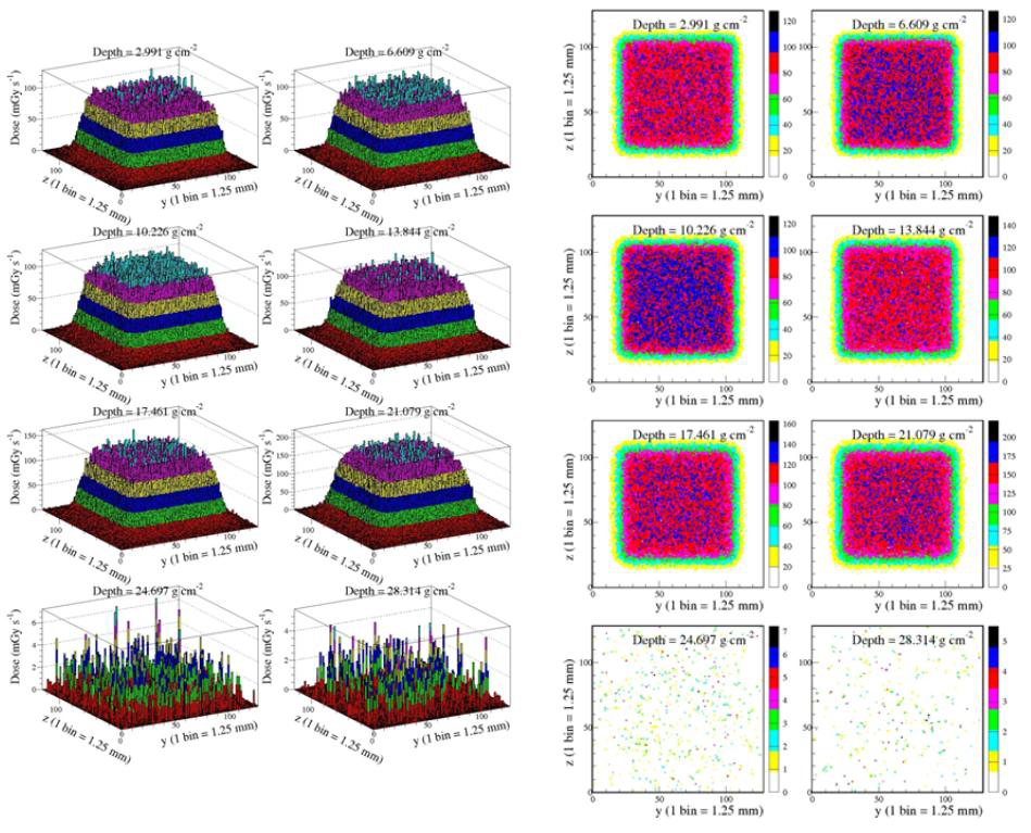 단위검출기 검출기의 depth 위치인 2.991, 6.609, 10.226, 13.844, 17.461, 21.079, 24.697, 28.314 g cm-2에서 예측 선량분포 (GEANT4)의 color depth plot.