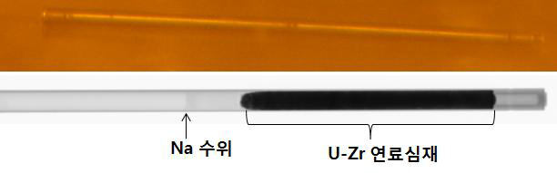 U-Zr 금속 핵연료봉 및 X-ray 2-D Scan 결과