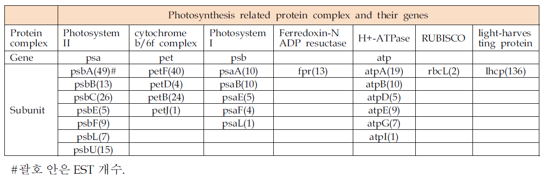 와편모조류 Prorocentrum minimum ESTs data로부터 확보한 광합성(또는 엽록체) 관련 유전자.