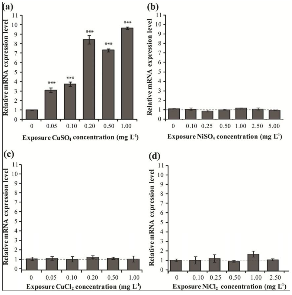 Relative expression profiles of PmKatG under metal treatments at 24 h.