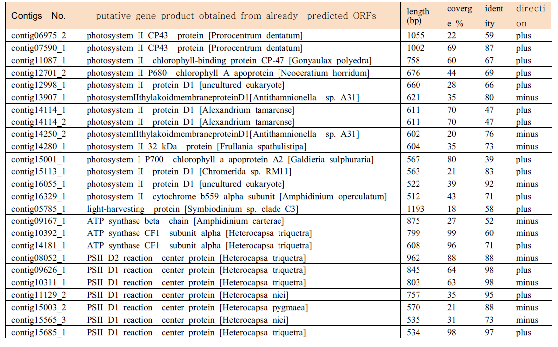 프로로센트럼 게놈 Contig로부터 엽록체 관련 유전자로 예측된 서열 정보.