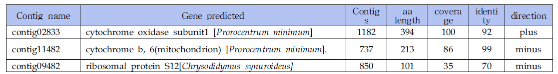 Prorocentrum minimum 게놈 Contig로부터 미토콘드리아 관련 유전자로 예측된 서열 정보