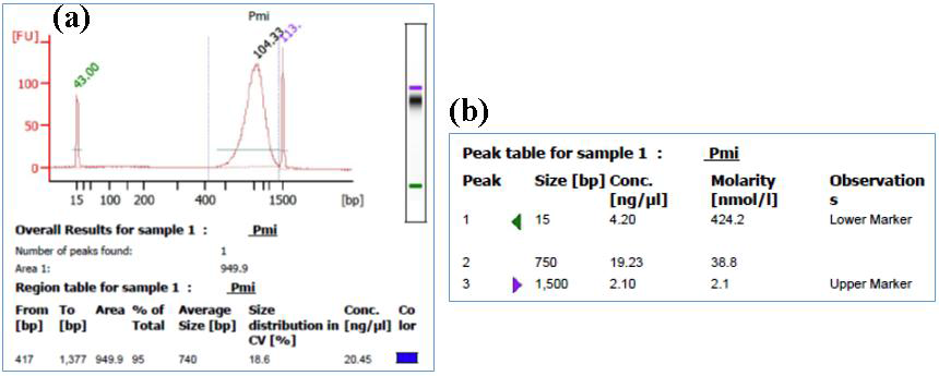 Nano drop으로 측정한 Prorocnetrum minimum genomic DNA.