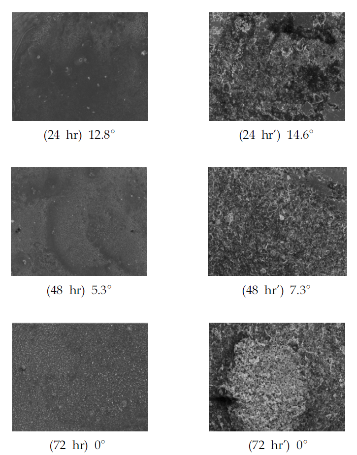 시간에 따른 비등 열전달 측정 실험 종료 후 산화처리된 다중벽 탄소나노튜브(좌)와 산화처리된 그래핀(우)의 열전달 표면 SEM 사진.
