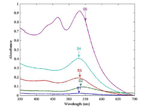 농도가 다른 Au 나노입자 용액의 흡수 스펙트럼