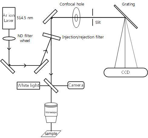 Aramis Microscopic Raman System 개략도