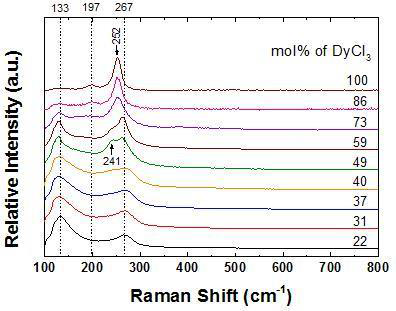 LiCl-KCl 내 DyCl3의 농도에 따른 라만 분광 스펙트럼 (normalized)