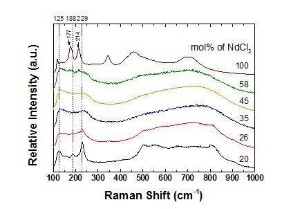 LiCl-KCl 내 NdCl3의 농도에 따른 라만 분광 스펙트럼(normalized)